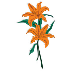 Line Art Flower Abstract