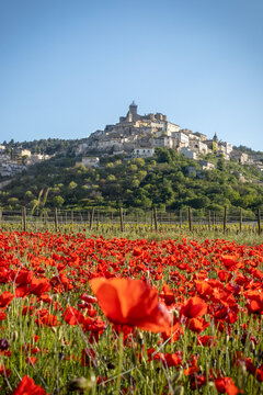 Veduta di Capestrano, Abruzzo, con campo di papaveri fioriti.