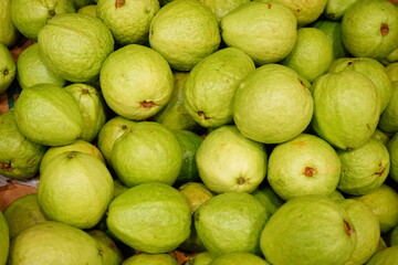 Fresh Guava on the counter of Stall in the market - グアバ 青果店 市場