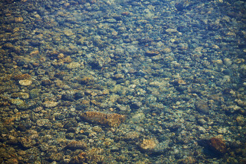stones in the river