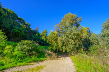 Nahal Giborim (Wadi Rushmiya) valley, Haifa