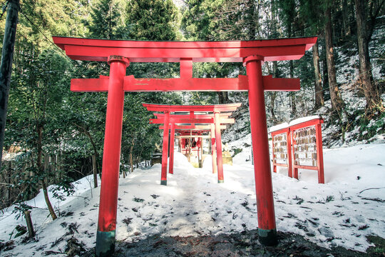 gate of shinto shrin japanese garden