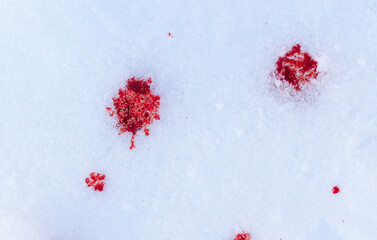 Red blood on white snow