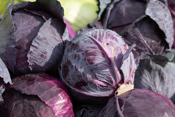 Fototapeta na wymiar red cabbage at an autumn fair