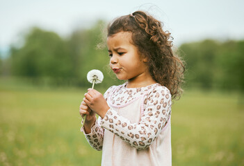 Nature, child and girl blowing a dandelion for a wish while playing, exploring or on an adventure....
