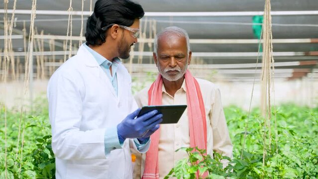 Agro scientist with senior indian farmer explaining from digital tablet at greenhouse - concept of modern agriculture, advising and technology suggestion