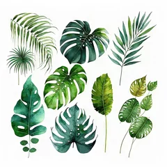 Zelfklevend Fotobehang Tropische bladeren Collection de feuilles tropicales sauvages aquarelles. Feuilles de plantes de la jungle isolées sur fond blanc. Monstera, banane, feuilles de palmier.
