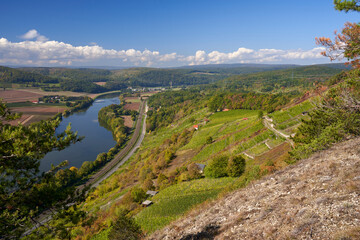  Weinbergterassen zwischen Gambach und  Karlstadt im Naturschutzgebiet Grainberg-Kalbenstein , Landkreis Main-Spessart, Unterfranken, Bayern, Deutschland