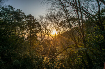 京都 稲荷山から眺める沈む夕日