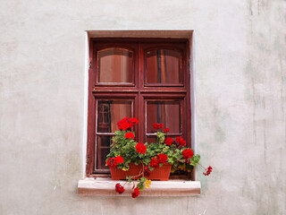 Fototapeta na wymiar Old rustic window with red geraniums flowers 