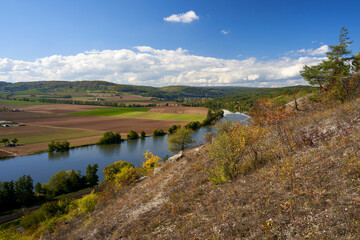 Obraz premium Naturschutzgebiet Grainberg-Kalbenstein am Main bei Karlstadt, Landkreis Main-Spessart, Unterfranken, Bayern, Deutschland