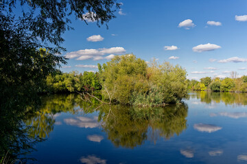 Kleine Seen am Main bei Sulzfeld am Main, Landkreis Kitzingen, Unterfranken, Franken, Bayern, Deutschland.