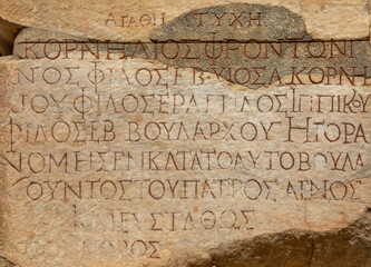 Close-up background view of Roman script samples