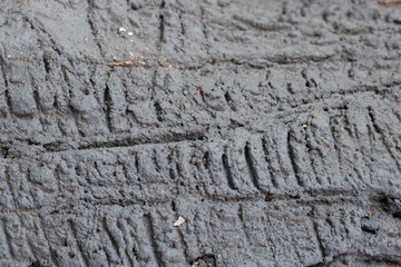 Wood texture background for inserting text