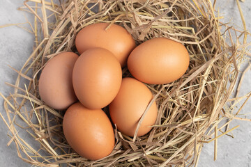 Fresh chicken eggs in straw, gray background. Copy space.