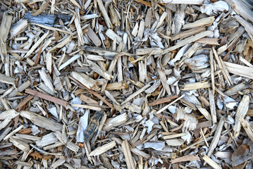 Sawdust and wood chips close-up. Wood chips as a background.