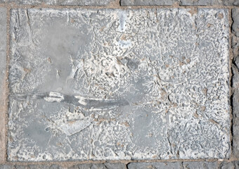 Paving slabs, fossilized shells, texture of fossils, close-up