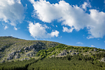 Mountain top and white puffy clouds. No people in this empty vastness, scenery view of Dragoman swamp, Western Bulgaria