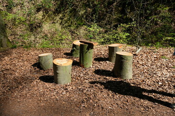 FU 2022-04-18 Drachenfels 15 Im Wald ist eine Picknickzone aus Baumstämmen