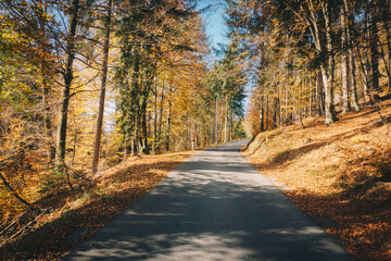 Country mountain road in Carinthia, Austria during autumn