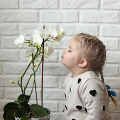 A child is standing near a flower, she does not like its smell. Little girl