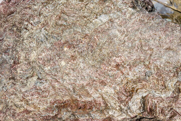 河川敷の巨大岩石の紋様