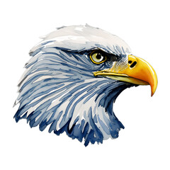 bald eagle head digital drawing with watercolor style illustration
