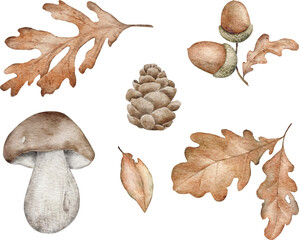 Watercolor woodland design element. Hand-drawing pine cone, leaves, mushroom and acorn for wall stickers, posters, invitation and greeting cards.  © Daryartsy