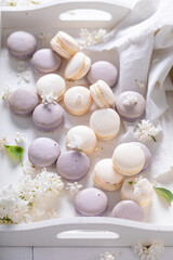 Unique and tasty macaroons flavored elderberry. Concept for gift card.