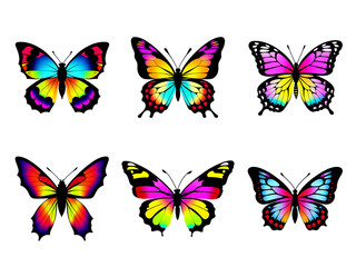 Fototapeta na wymiar A Set of 6 Flat Icons of Colorful Butterflies or Moths. Isolated or Die Cut on Transparent Background.