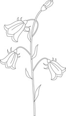 Convallaria majalis. Lily of the valley may. Flowers and leaves of the Lily of the valley. Set for spring design of postcards, maps, posters. Vector illustration.