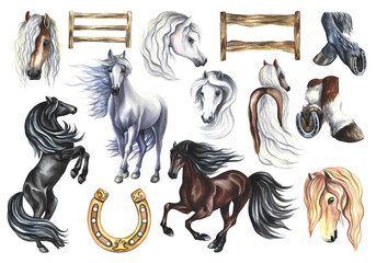 Set with horses. Hand watercolor. Horses isolates, wooden fences and horseshoe. For printing, stickers and labels. © ANTONINA MASLOVA