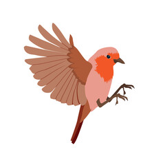 A vector illustration of a robin redbreast on a white isolated background.