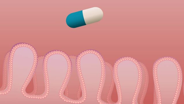 Intestinal Absorption of Drug