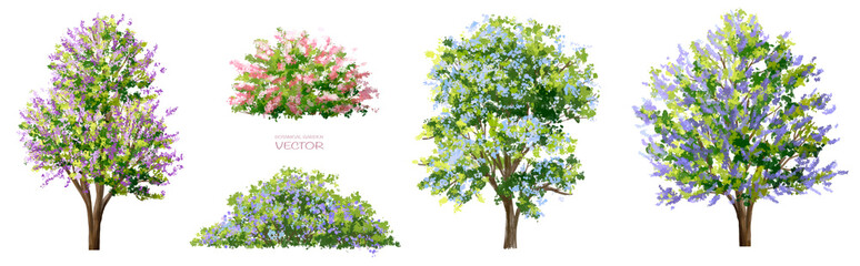 Vector watercolor blooming flower tree side view isolated on white background for landscape and architecture drawing, elements for environment and garden,botanical elements for section in spring 