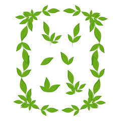 A set of green leaves and branches. Vector. Design elements