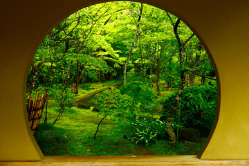 日本三景松島　緑の世界