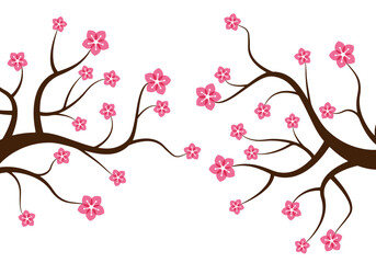 cherry blossoms tree vector