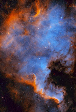 North America nebula also known as NGC 7000 in the Cygnus constellation. Taken with my telescope.