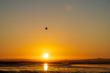 sunset on the sea
