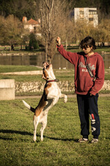 Andreia and Milú went to the park on a beautiful Autumn sunny afternoon. There, Milú met her good friend Pipo, the Beagle. Later, when they returned home, Andreia played a bit with her hamster Noé.