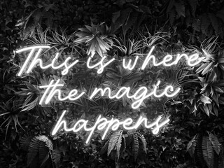 " This is where the magic happens " neon sign with plant background