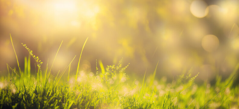 spring background with fresh grass and sunlights, a generative ai backdrop