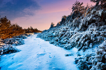 Camino de los Prados LLanos