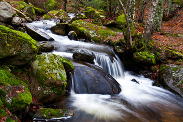 Arroyo del Sestil