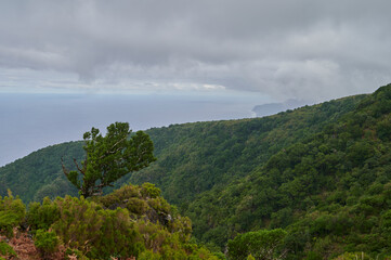 Fototapeta na wymiar Cloudy landscape with ocean and green trees, Madeira, Portugal, Europe