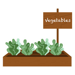 Wooden box, crate with soil, ground and greenery sprouts, seedling in cartoon flat style isolated on white background. Vegetables farming, organic food Greenhouse, spring, agriculture concept.