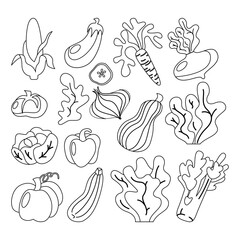 Vector vegetables icons set in line art, outline style. Collection farm locally grown product for restaurant menu, market label. Tomatoes, carrot, pepper, pumpkin, corn isolated background