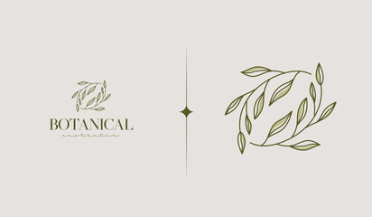 Botanical Plant Logo Template. Universal creative premium symbol. Vector illustration. Creative Minimal design template. Symbol for Corporate Business Identity