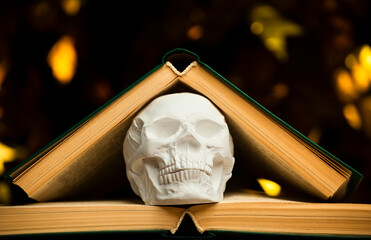 image of skull book dark background 
